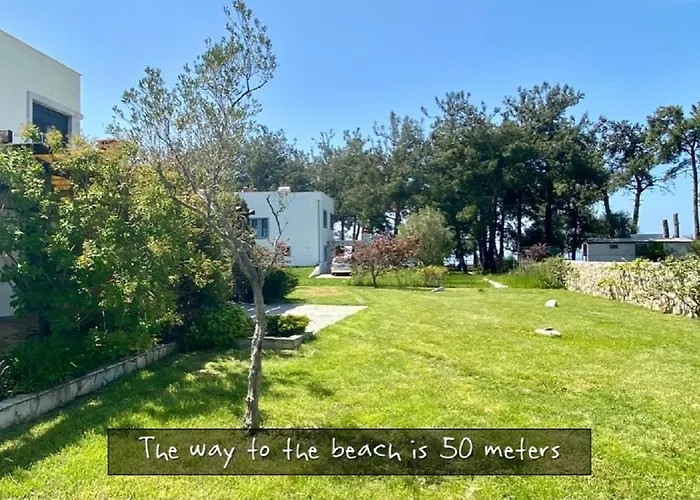 Villa Aspri Petra Rachoni - 3 Bedrooms 7 Guests Skala Rachoni (Thasos)